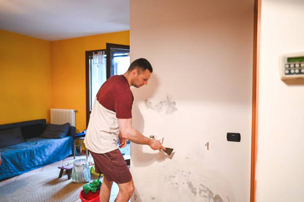 Professional Mold Removal in Roberts, WI